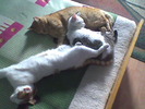 Imag032