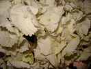DSC02591