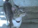 DSC00028