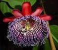 images[16]