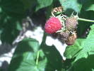 PICT0046