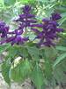 PICT0027