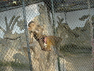 Picture 030