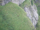 2009_08190574