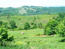 DSCF0551
