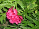 DSCI0283