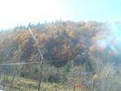 DSC01565