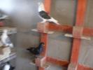 FILE0147