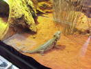 Picture 140