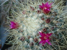 DSC00617