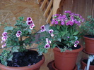 DSC09797