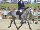 Picture 131
