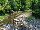 DSCF5347