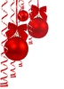 shutterstock_20988376[1]