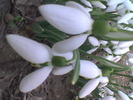 Imag068