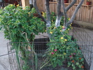DSC09820