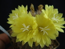 DSC08769