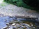 DSCF5346
