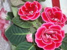 Gloxinia roz dublu