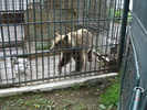 Picture 112