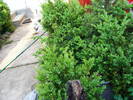 DSCF0155