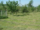 DSC00892