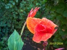 100_8307
