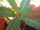 aug 2008 054