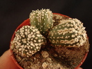 DSC05220