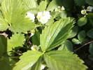 Fotografii-0041