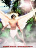 angel[1]