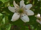 DSCF1427