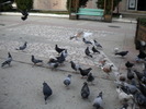 DSCN0150