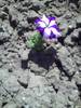 PICT0073