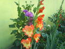 DSC00550