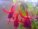 Picture 019