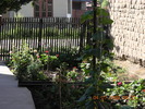 DSCN7186