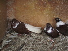 P9061404