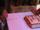 Picture 060