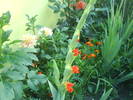 DSC00551