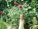 Picture 035
