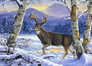 Mountainburg Buck_jpg