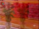 Image0121-1737(nationaltv)[2]