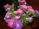 DSC02686