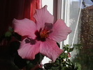 Picture 091