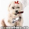 avatare_gratuite_134796750946e99a9d8eb2d8_25383487