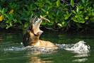 image03333