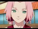 ok_406[1]