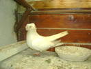 Picture 072