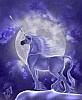 unicorns-4